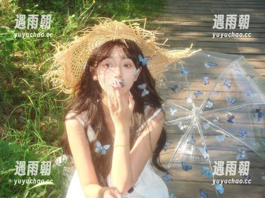 顺便聊聊1970s蜜桃色网页里的那些厚黑学，嘿嘿。