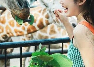内幕透视！“998.su”链接里的秘密，居然刺激得我不敢告诉你！