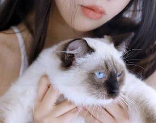 永久跟随hlw，准备好迎接新一波的戏剧人生吧！