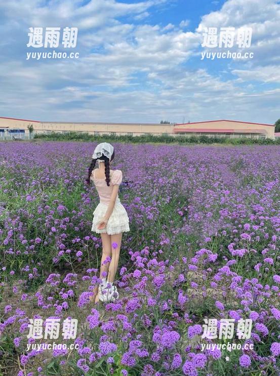 黑料社 在黑料社轻量版分享,竟然也能吃个快乐的小瓜!
